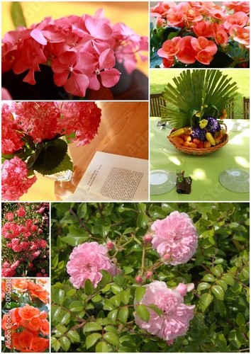Fototapeta Naklejka Na Ścianę i Meble -  Fleurs multiples