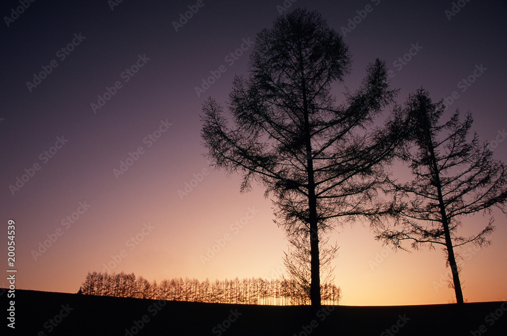 Naklejka premium 丘の夕景