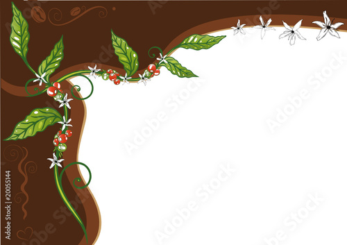 Kaffeepflanze, Kaffee, floral, background, coffee photo