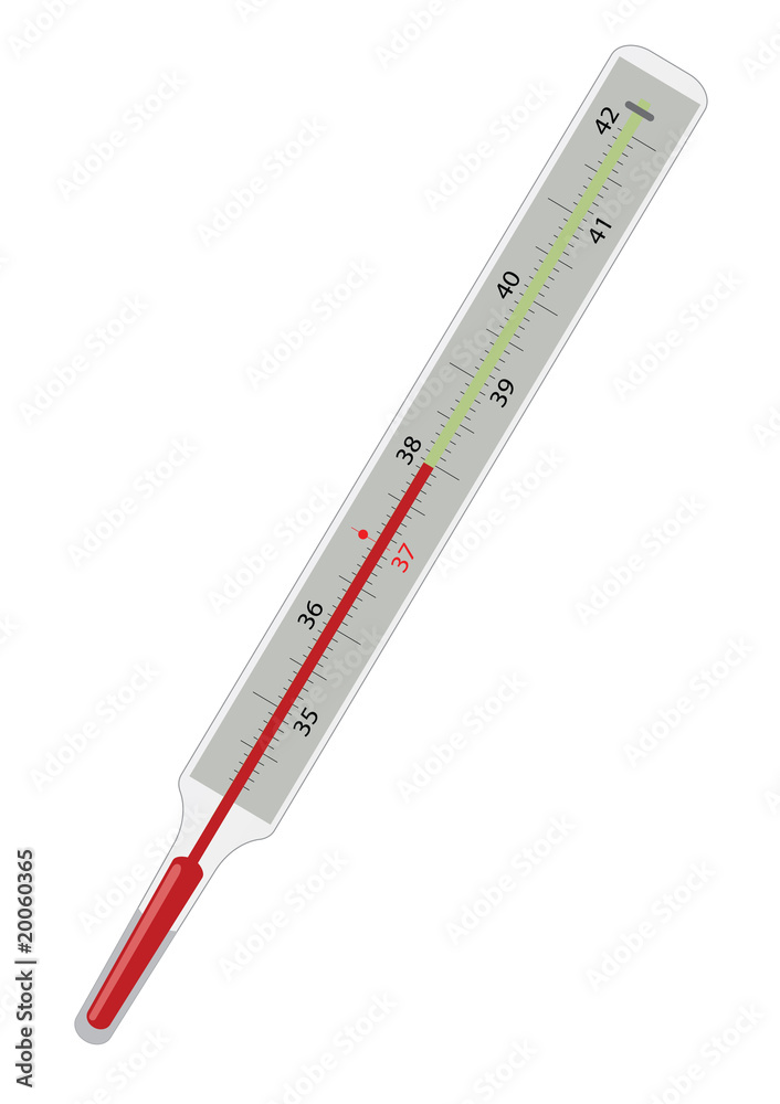 vector illustration of thermometer vector illustration of thermometer