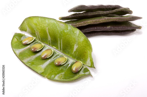 Indian Bean photo