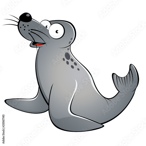 seehund robbe cartoon lustig tier