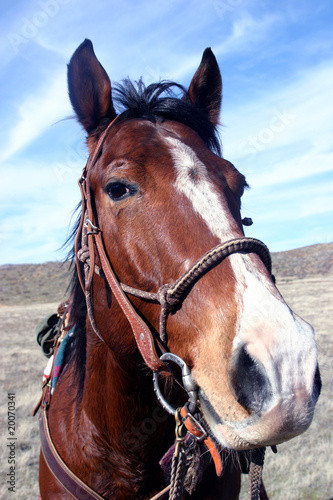 Riding days