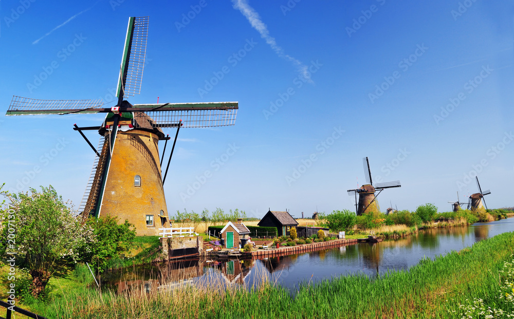 Naklejka premium Windmill in Kinderdijk, Holland