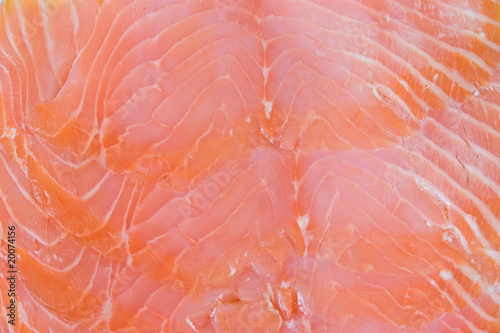 salmon, red fish