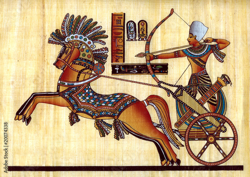 Egyptian papyrus #20074338