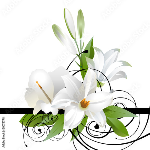 Branch of lilies