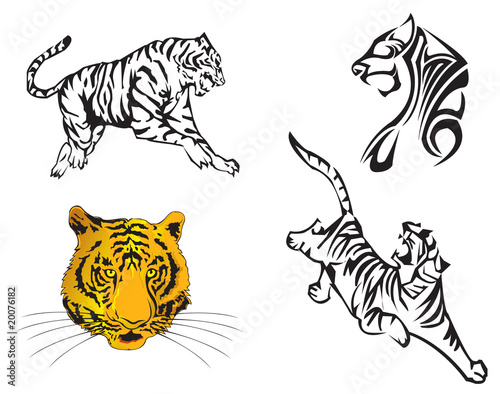 Tiger Zodiac Year