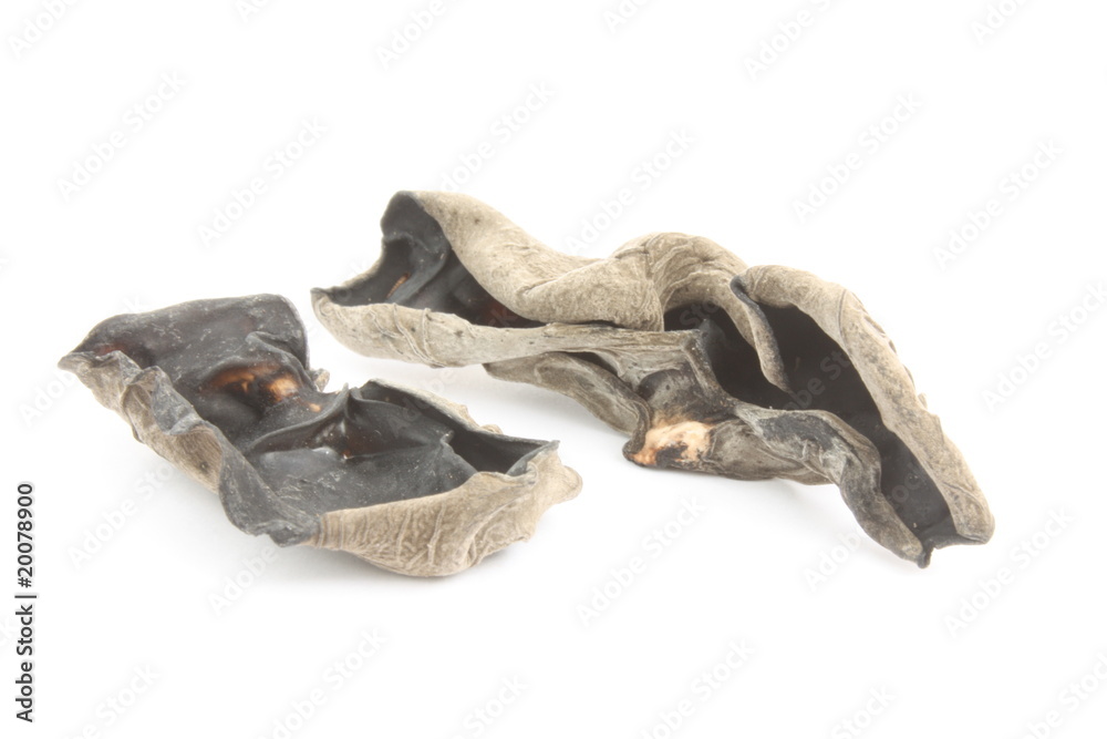 Black fungus / 黑木耳