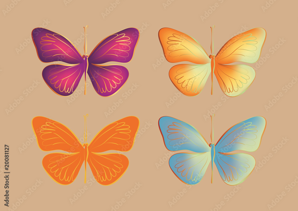Butterflies vector Butterflies vector