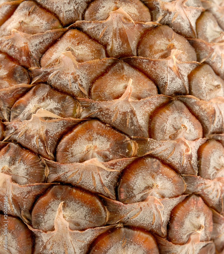 Pineapple Pineapple