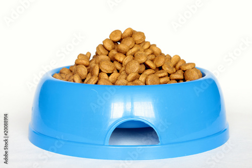 croquettes