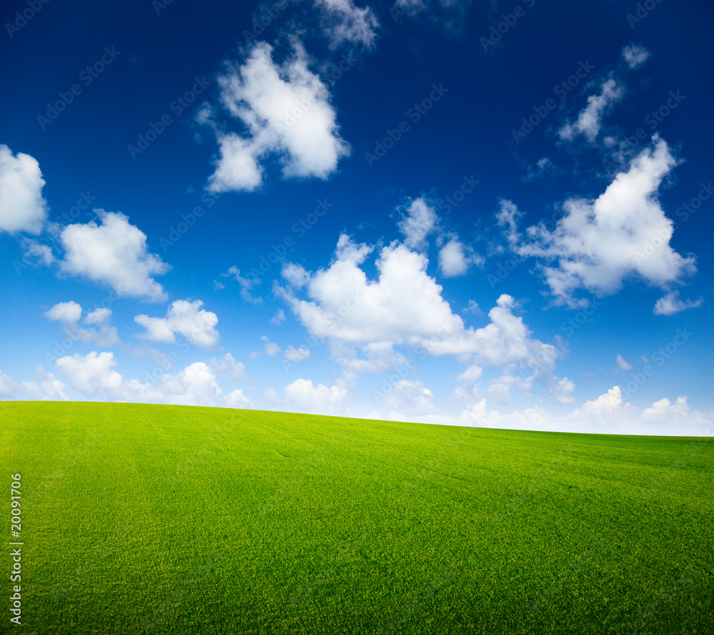 field of grass and perfect blue sky field of grass and perfect blue sky