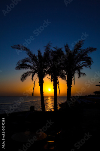 sanrise photo