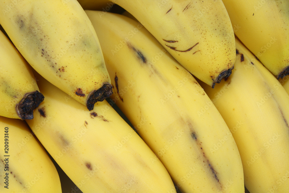 Banana Bunch Banana Bunch