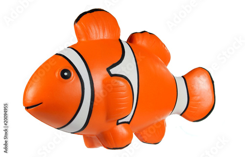 Oranger Clownfisch