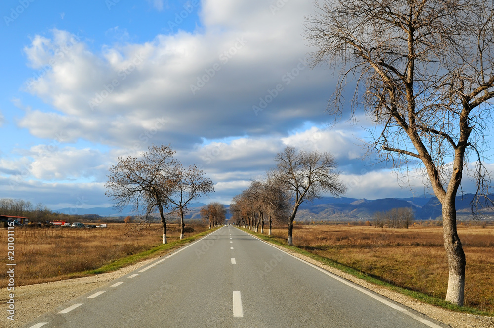 Fototapeta premium road