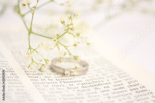 Saint Valentine's Day / 情人节
