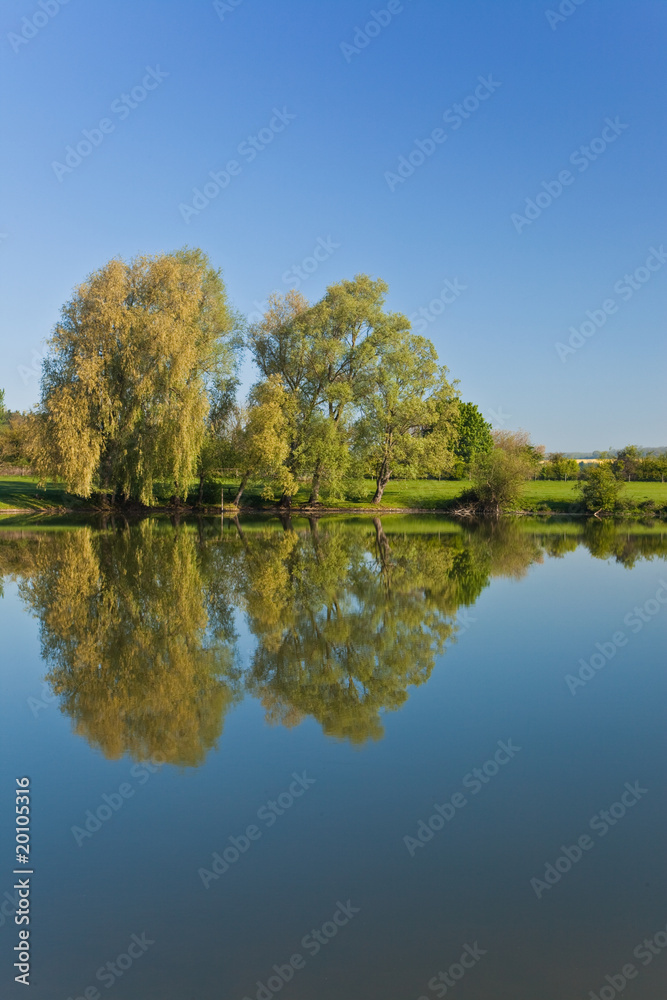 Water reflection of trees on a still lake