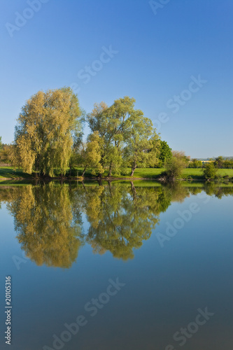 Water reflection of trees on a still lake