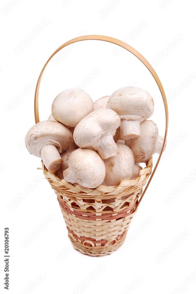 Fresh field mushrooms in a basket Fresh field mushrooms in a basket