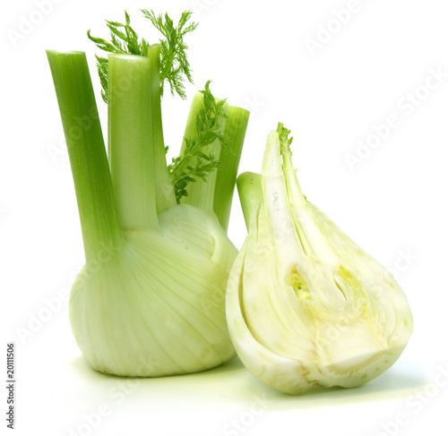 Fennel