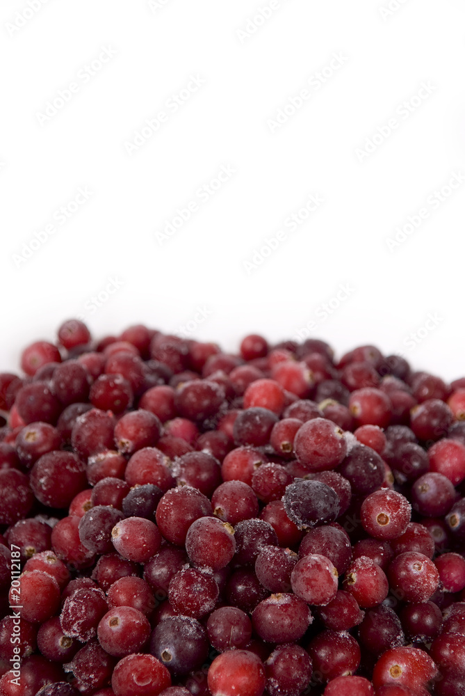 Frozen cranberry Frozen cranberry