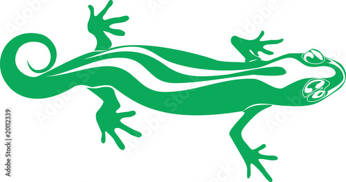 Lizard