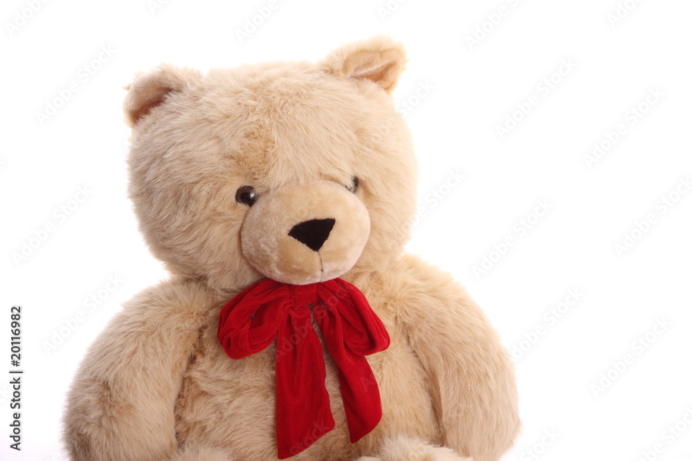 Obraz premium duży miś