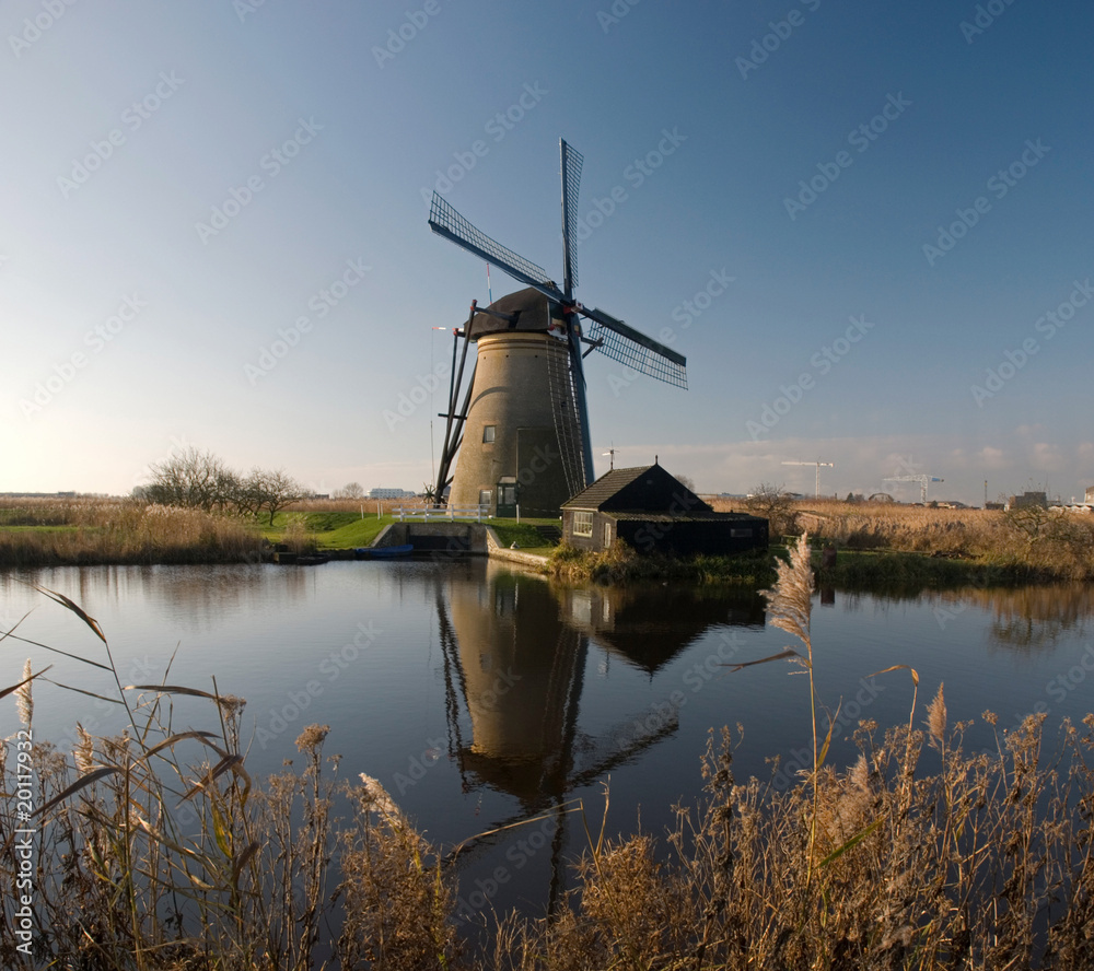 Fototapeta premium Dutch Windmill