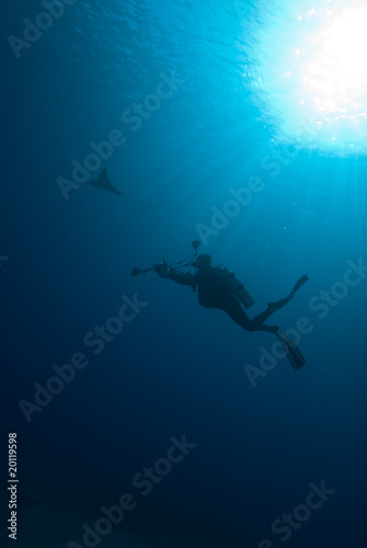 Silhouette of a scuba diver © Mark Doherty