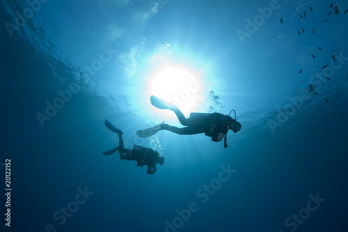 diver, ocean and fish