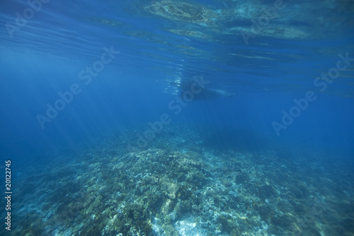 diving boat, ocean and coral