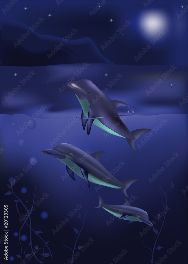 Obraz premium dolphins and northern sea