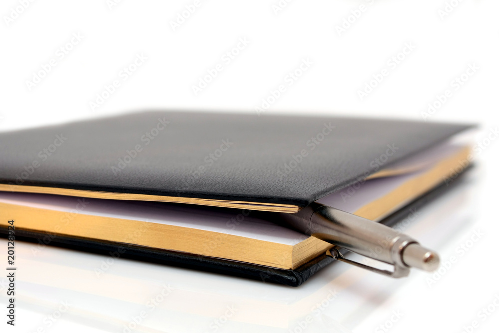 Goldener Filofax mit Kugelschreiber Goldener Filofax mit Kugelschreiber