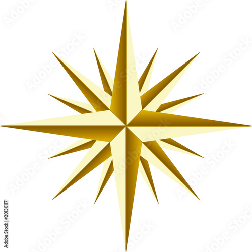 Beautiful golden star Vector on white background