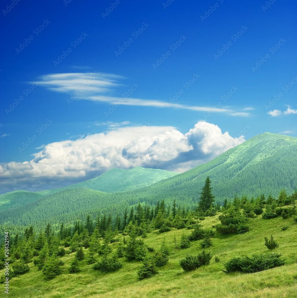 Naklejka premium green mountain landscape