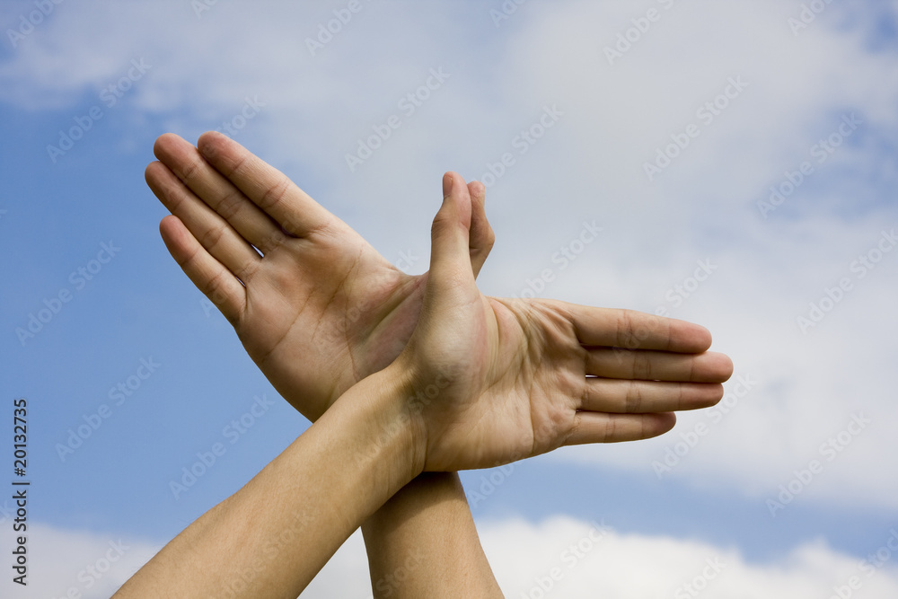 Hand with the Sky Background.show want to fly. Hand with the Sky Background.show want to fly.