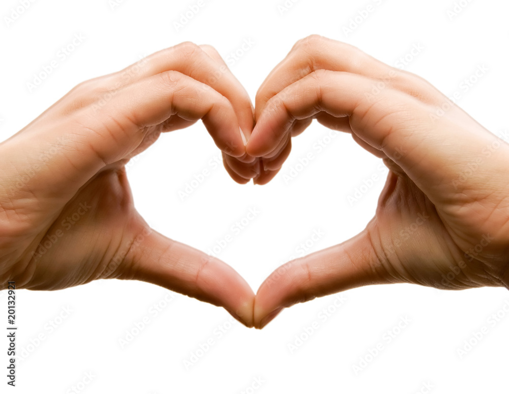 Shape of the heart Shape of the heart