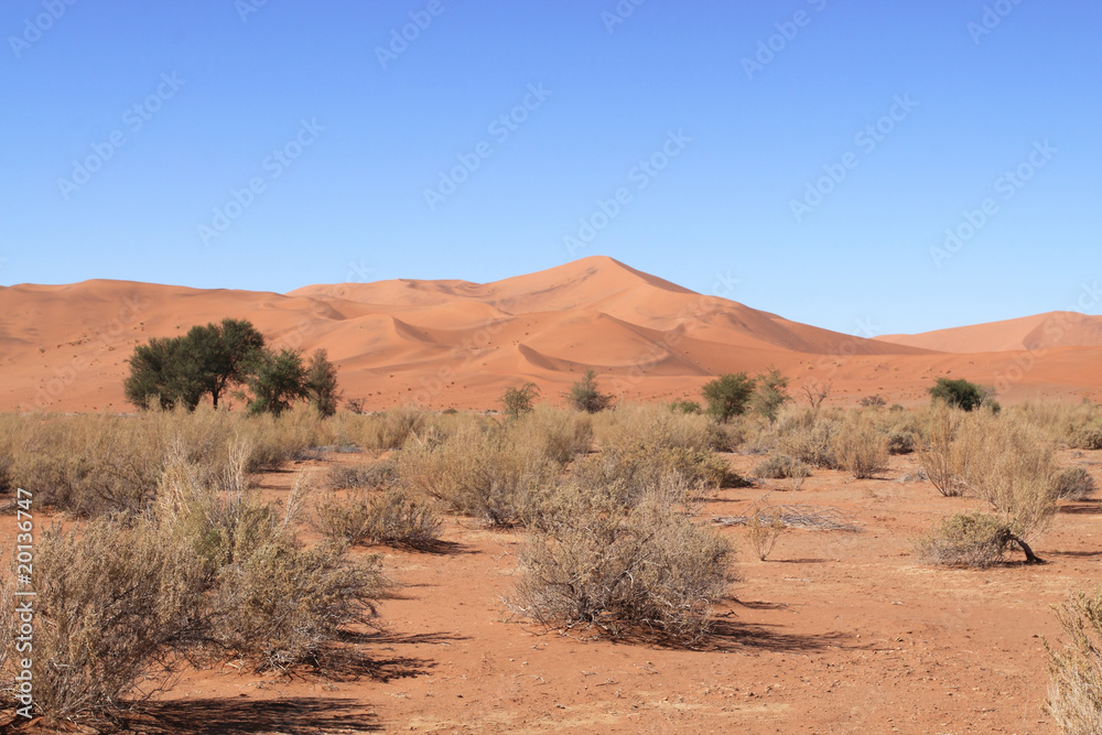 Fototapeta premium Désert du Namib