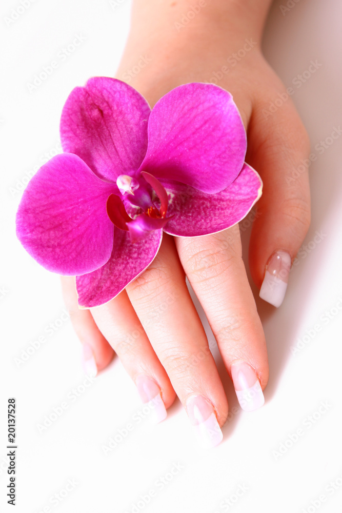 handpflege,hände handpflege,hände