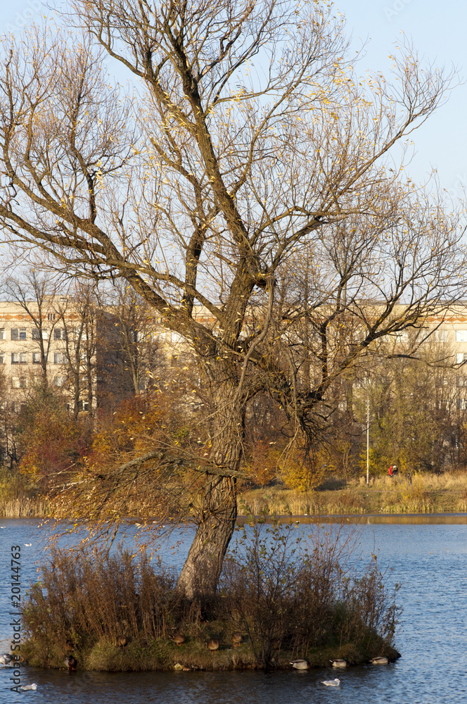 lake