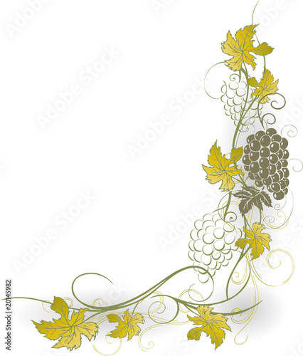 Wein, Weinrebe, Ranke, Weinblätter, Weintrauben, wine