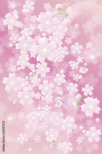 桜のパターン © DreamFinder
