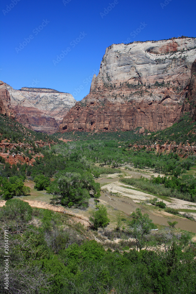 Zion national park canyon