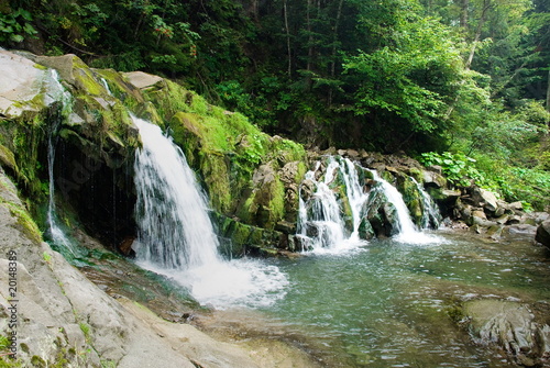 forest waterfall