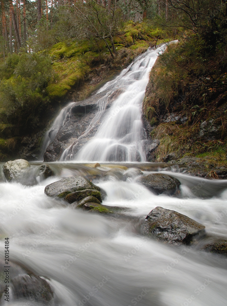 Fototapeta premium cascada en el rio