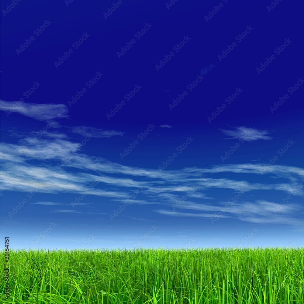 High resolution grass and sky background High resolution grass and sky background