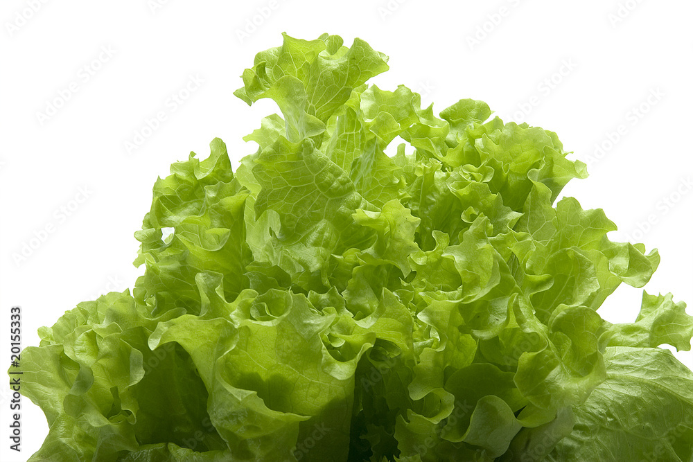 Lettuce Lettuce