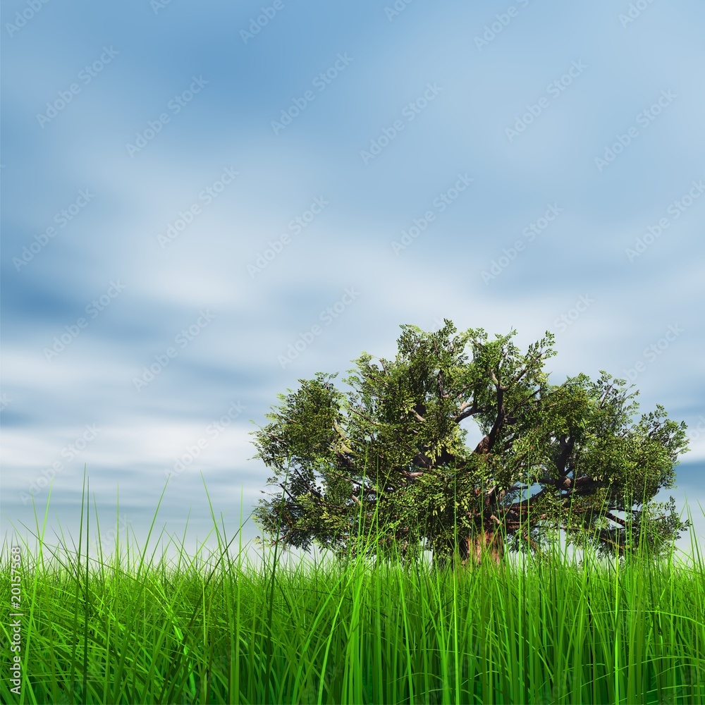 Fototapeta premium 3d green grass, a blue sky with a natural old baobab tree